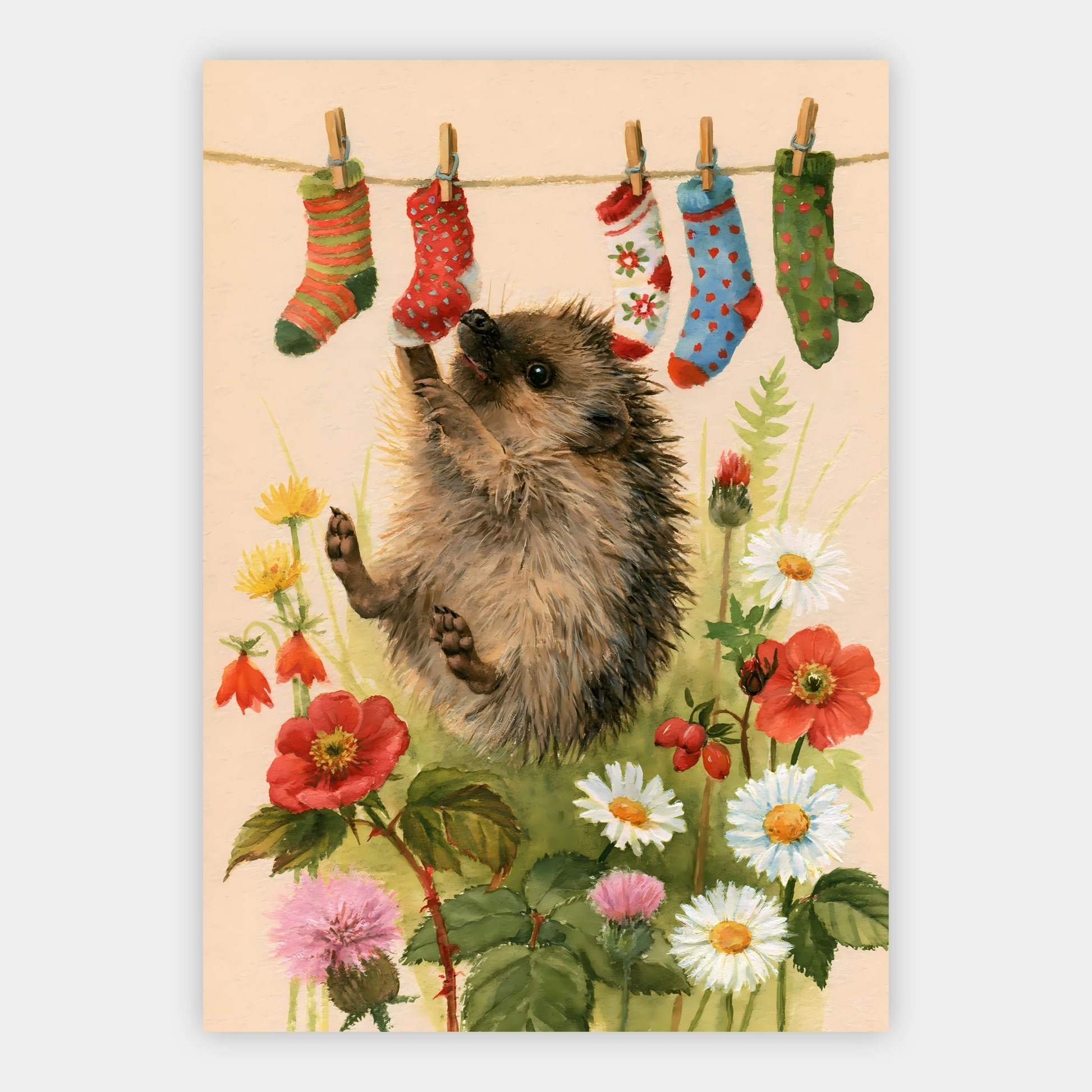 Igel-Waschsalon Poster – Freisteller