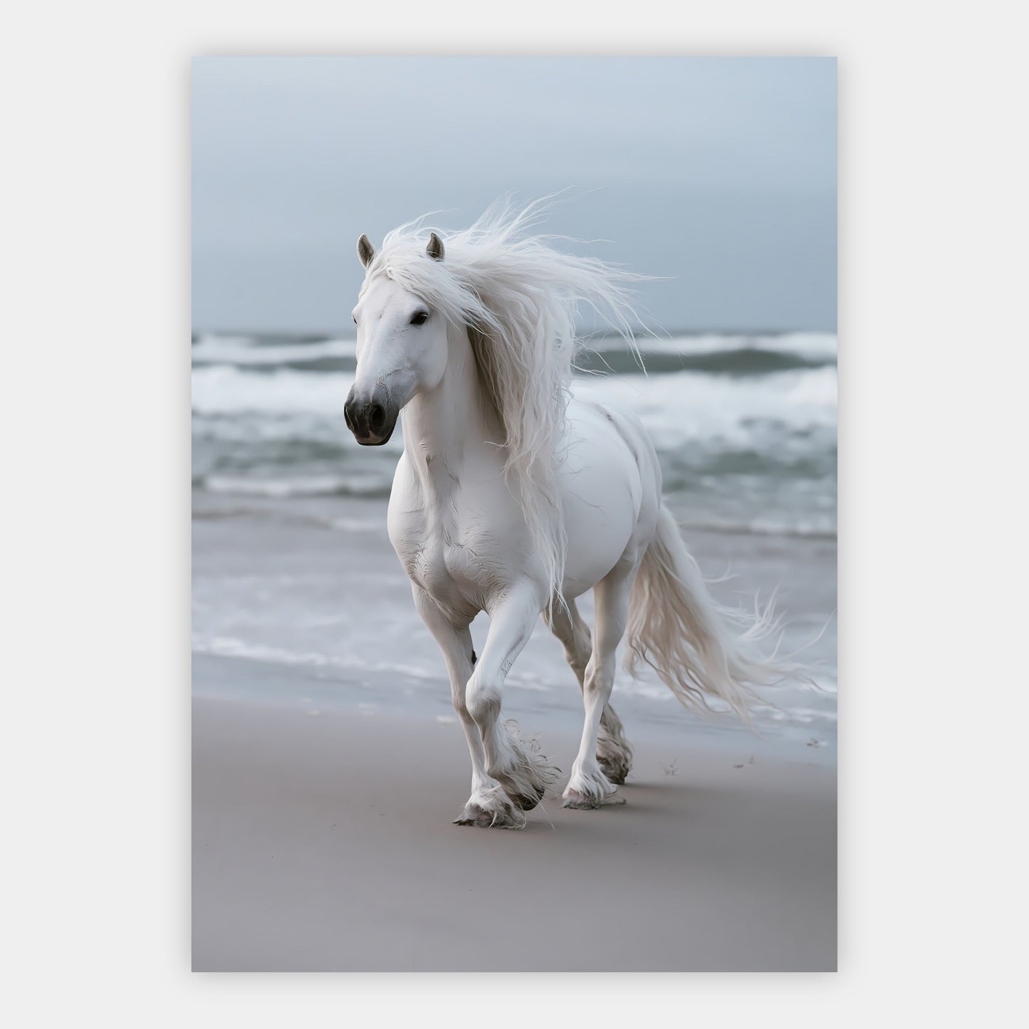 Weißes Pferd am Meer Poster – Freisteller