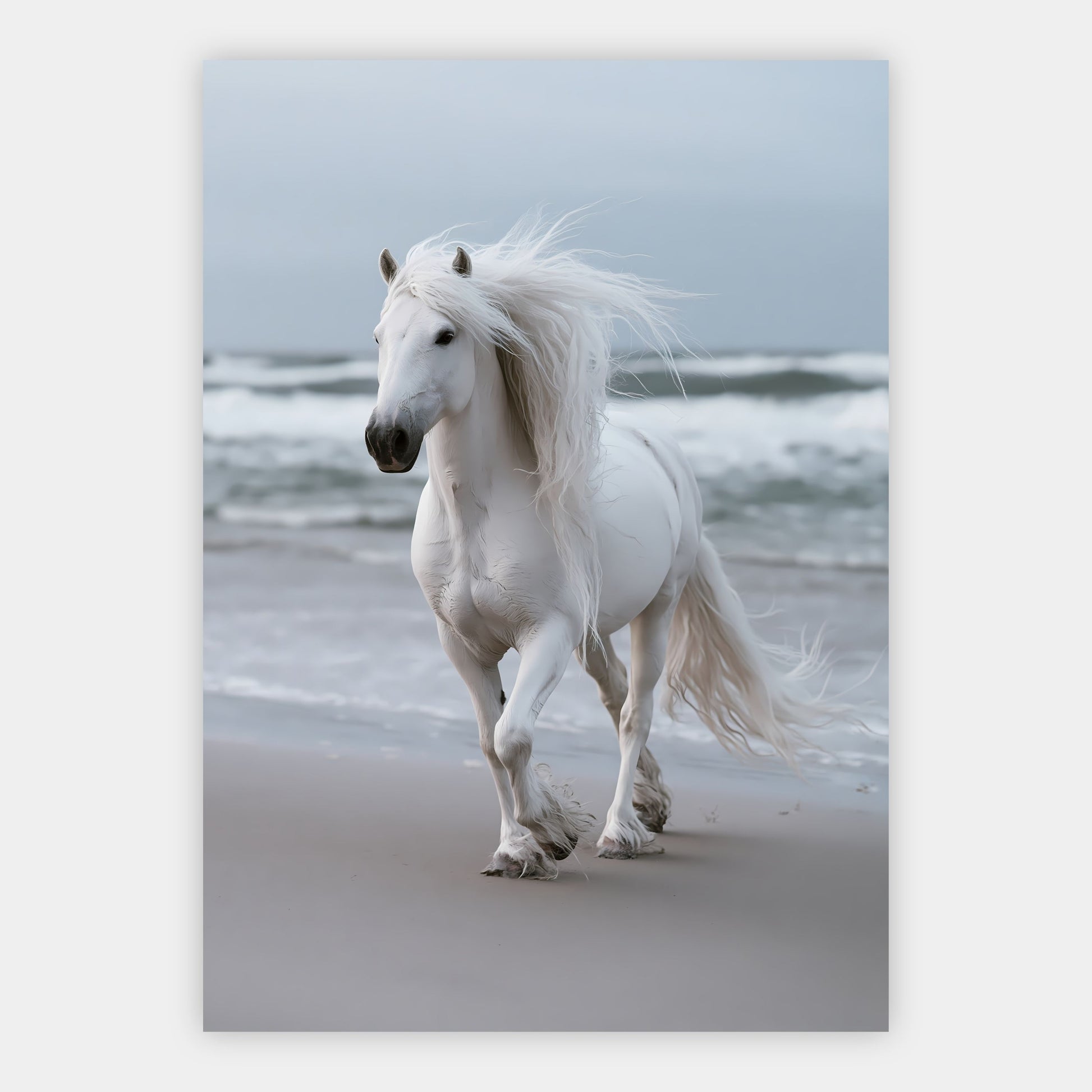 Weißes Pferd am Meer Poster – Freisteller