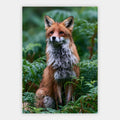 Rotfuchs im Farn Poster – Freisteller
