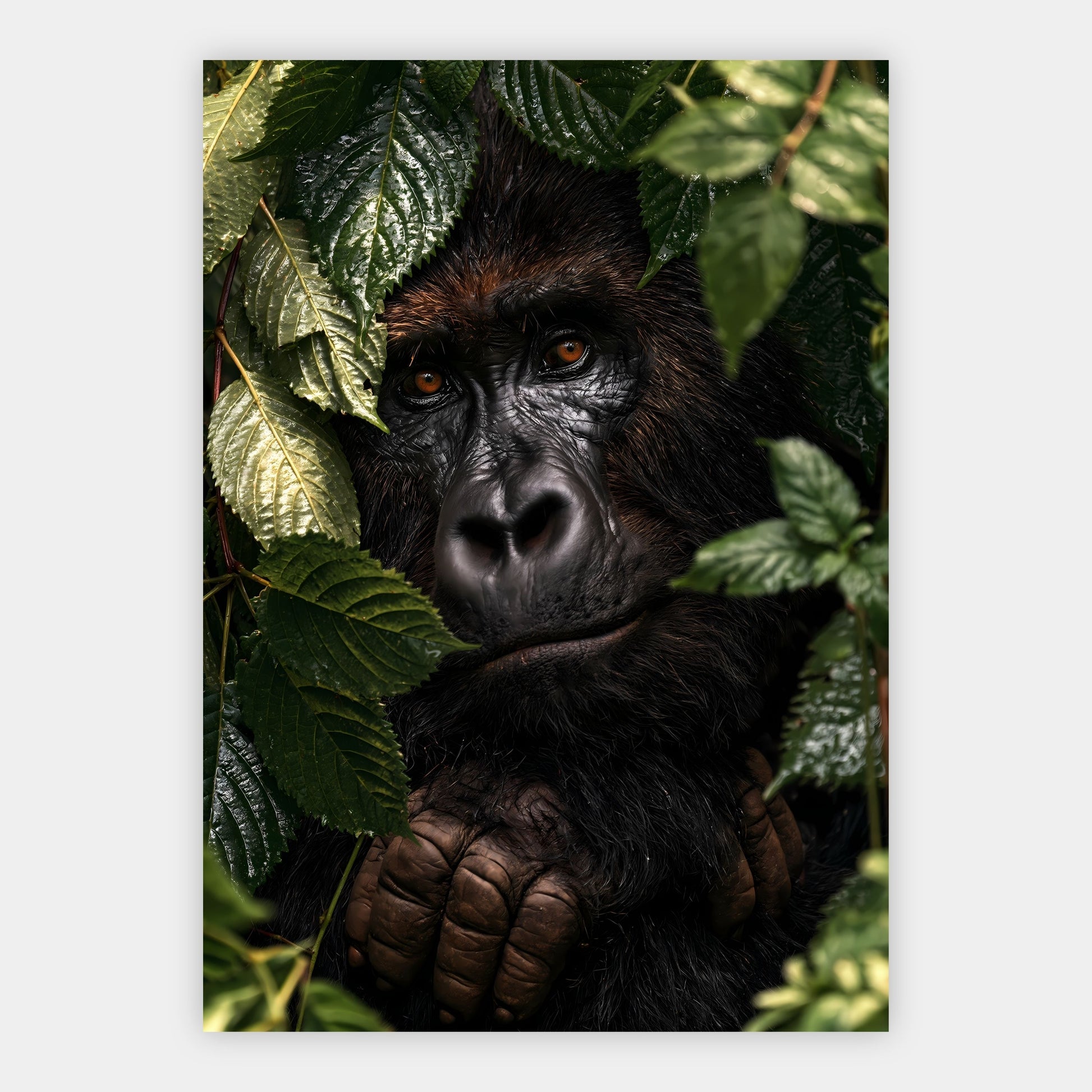 Gorilla im Regenwald Poster – Freisteller