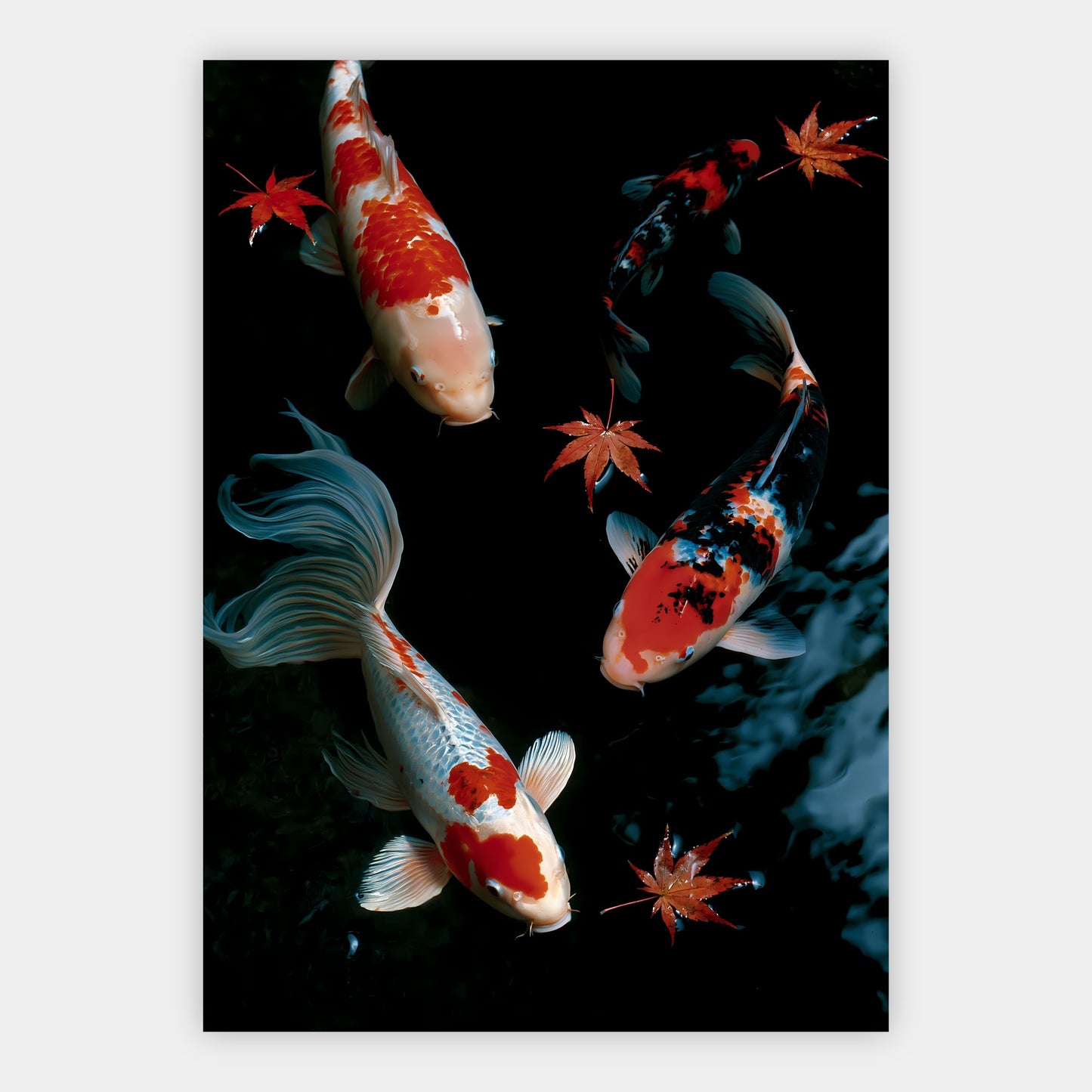 Koi im dunklen Wasser Poster – Freisteller