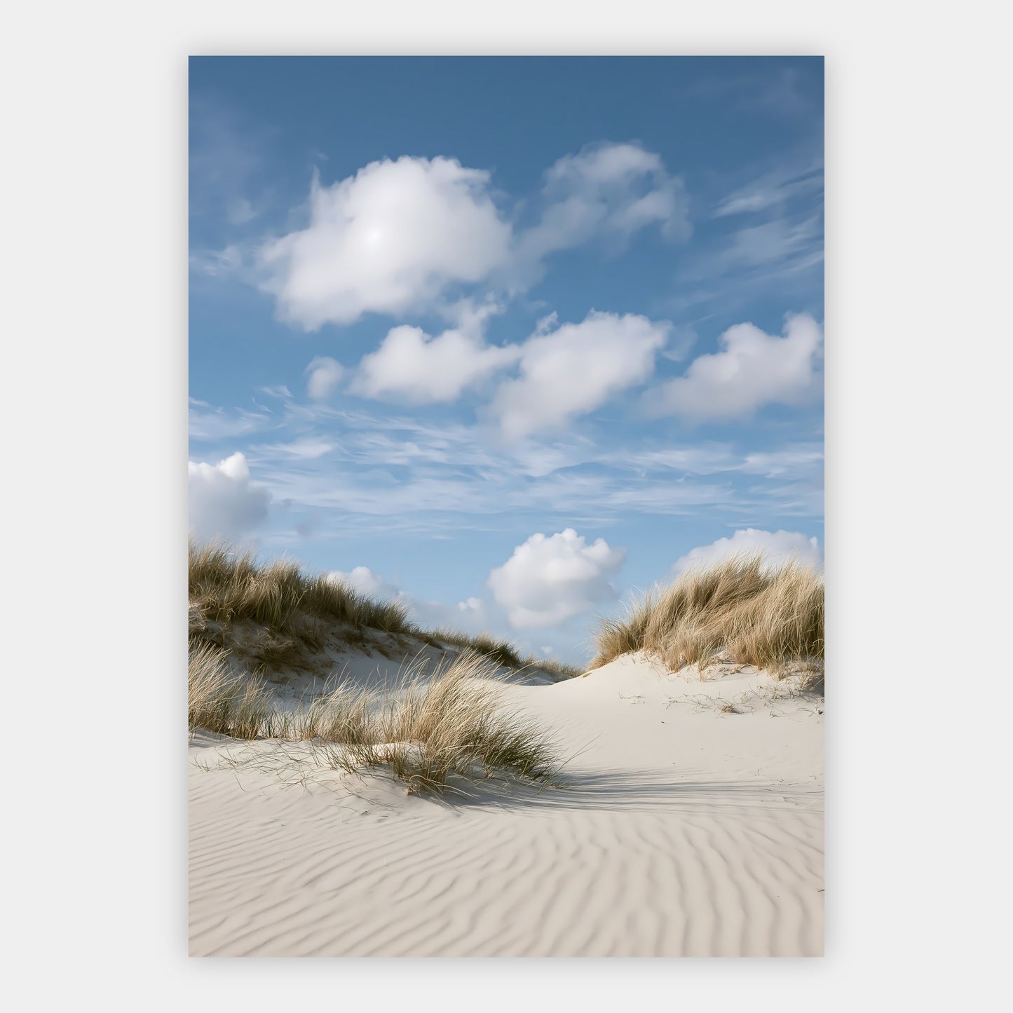 Düne mit Strandgras Poster – Freisteller