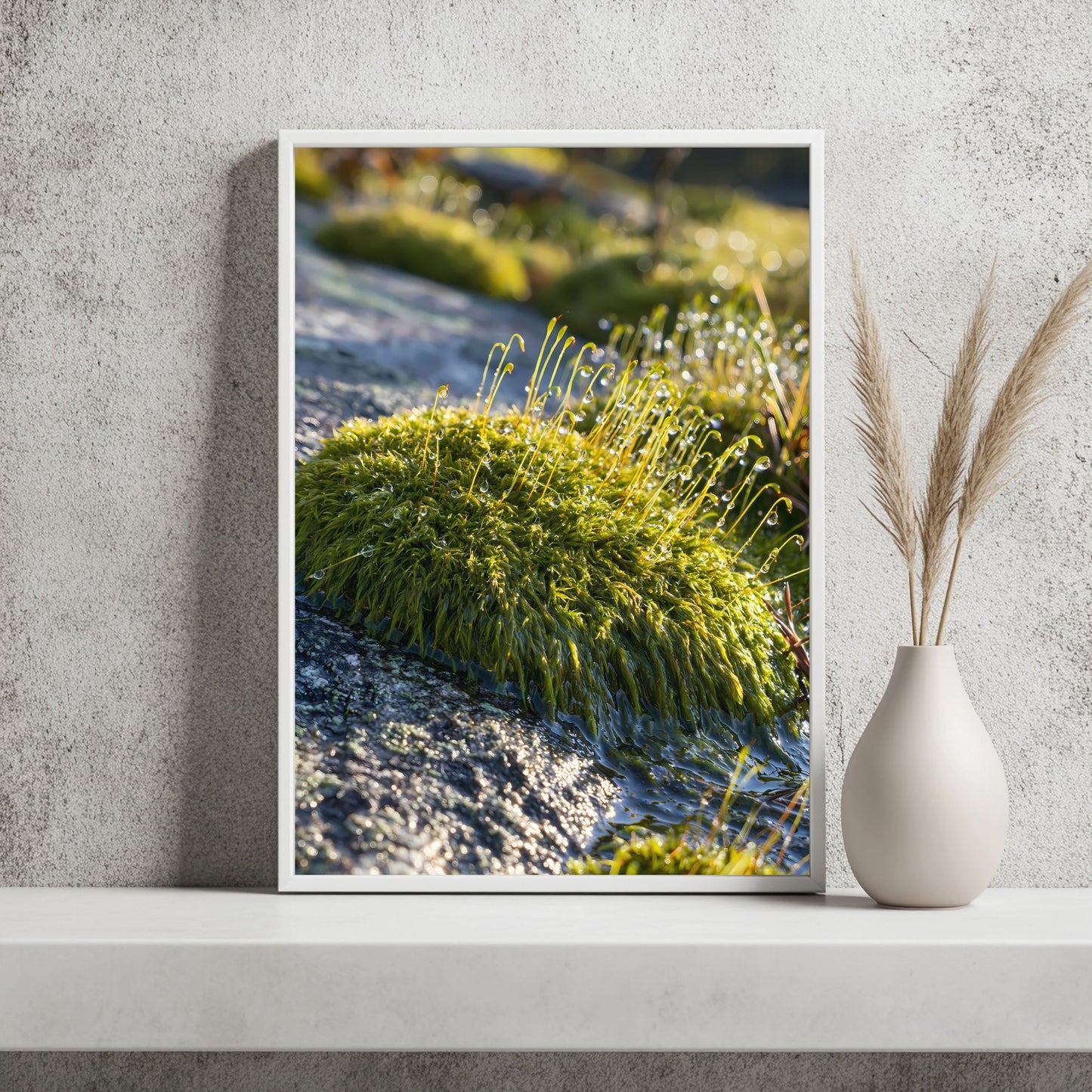 Moos und Granit Poster – Raumansicht 2