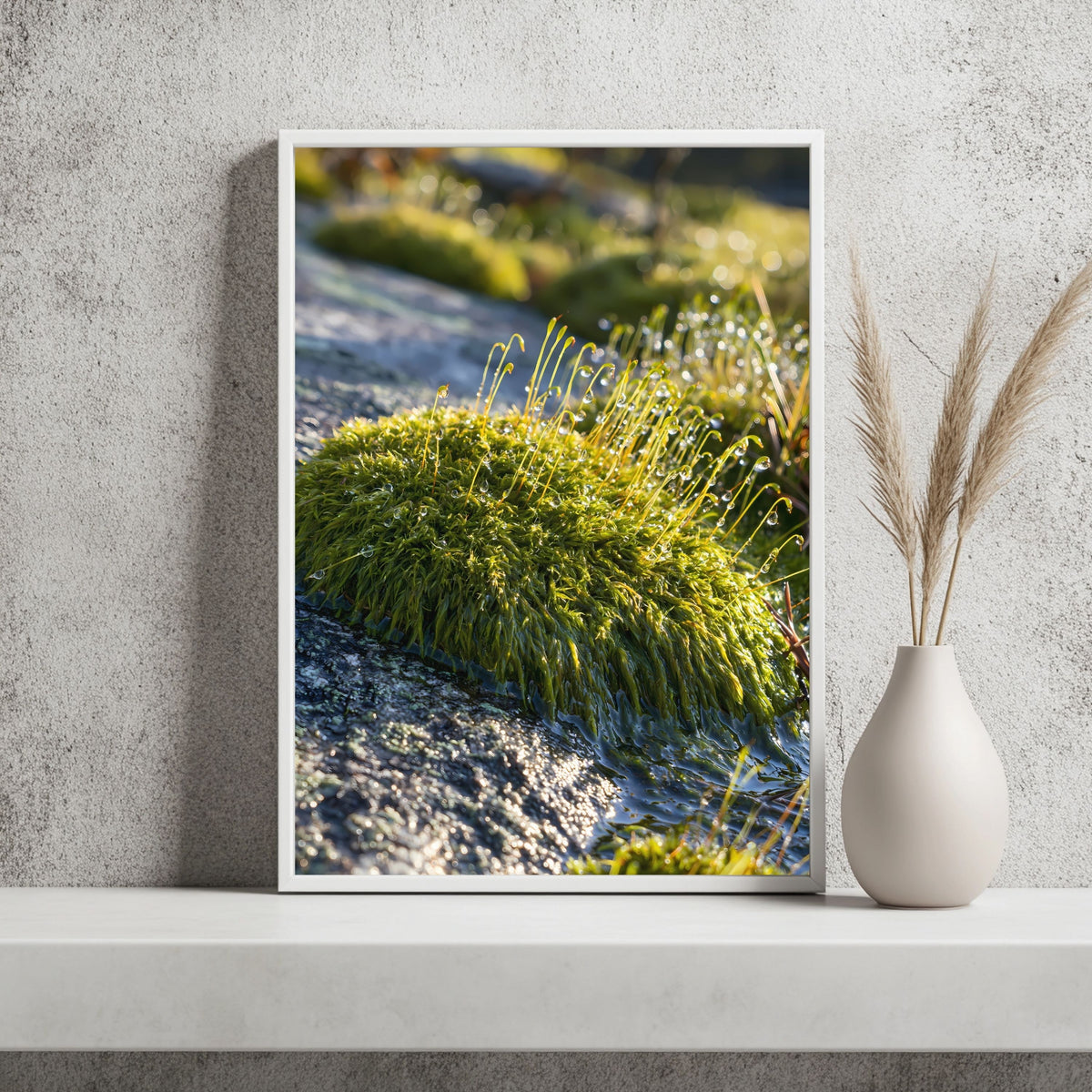 Moos und Granit Poster – Raumansicht 2