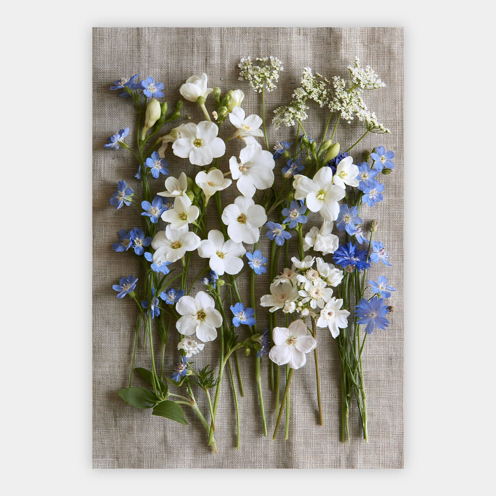 Wildblumen auf Leinen Poster – Freisteller