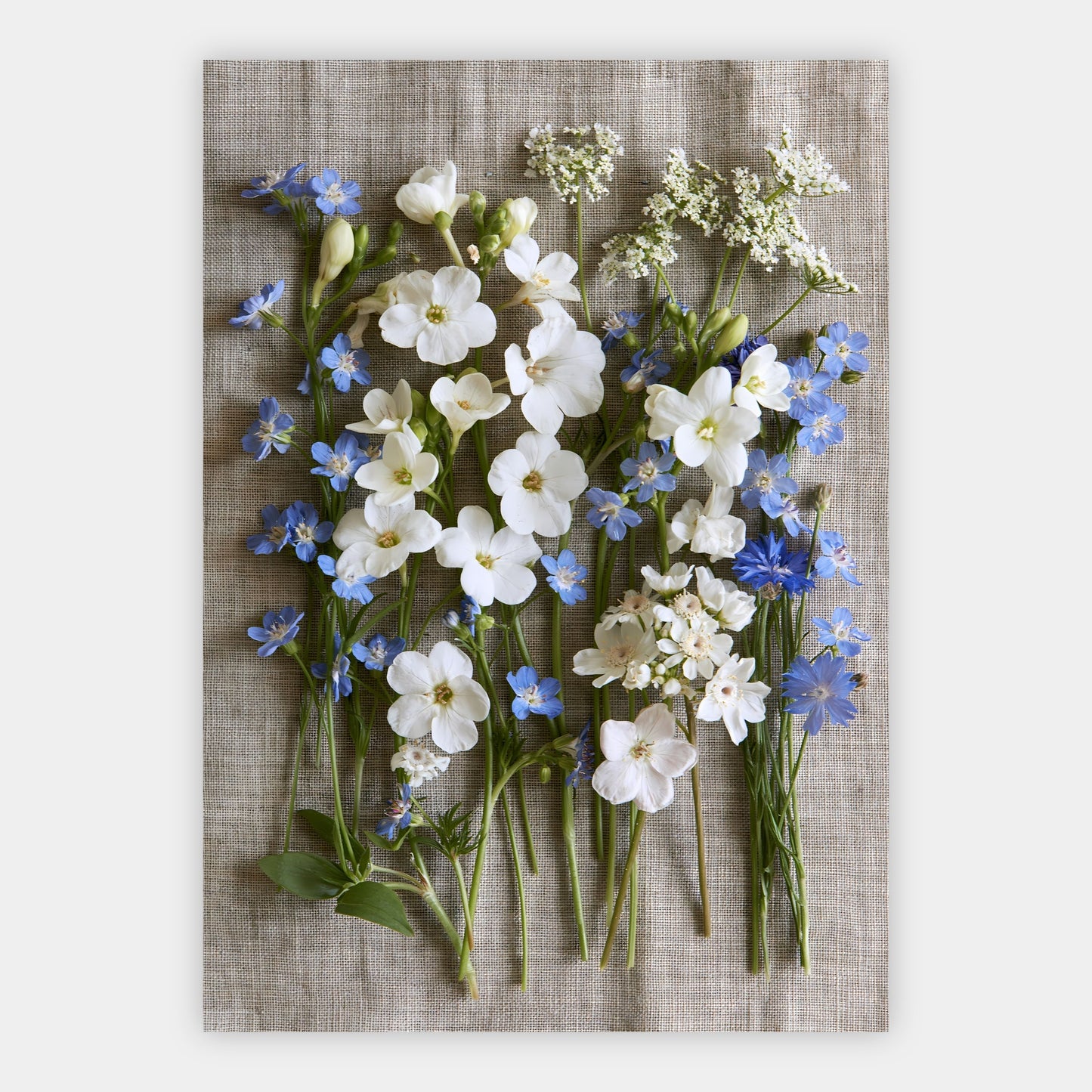 Wildblumen auf Leinen Poster – Freisteller