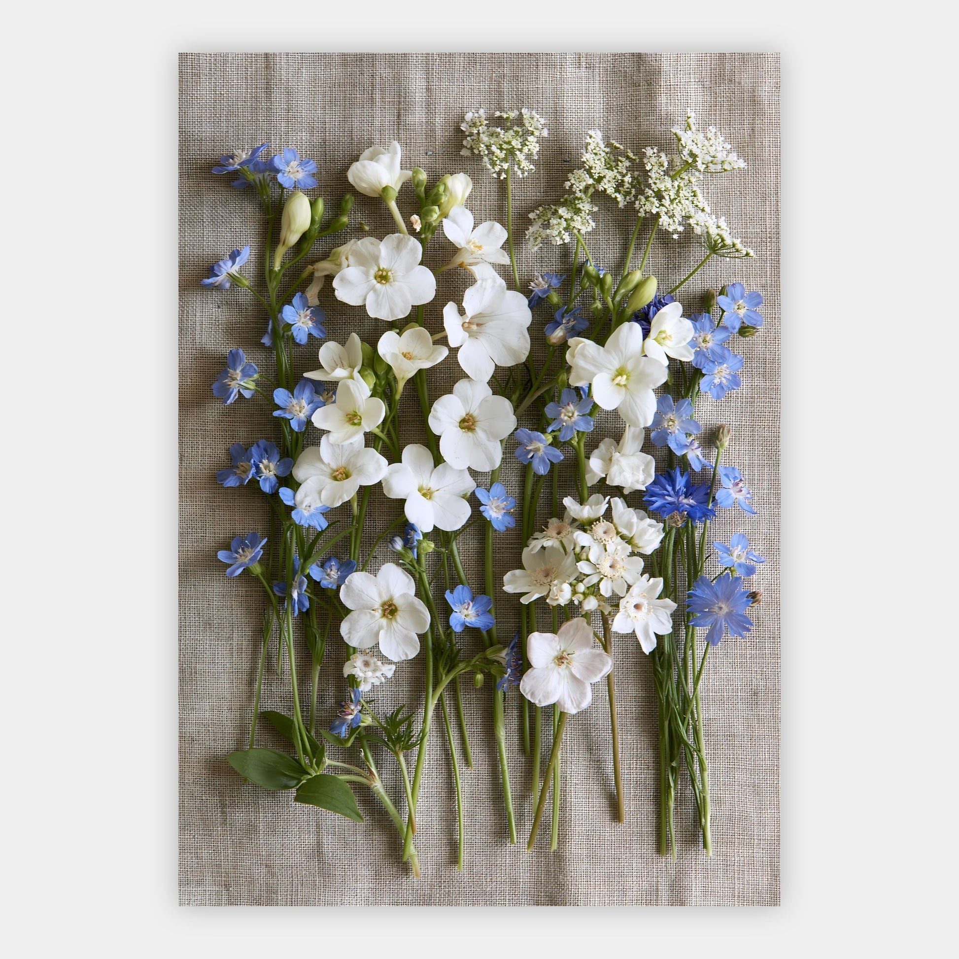 Wildblumen auf Leinen Poster – Freisteller