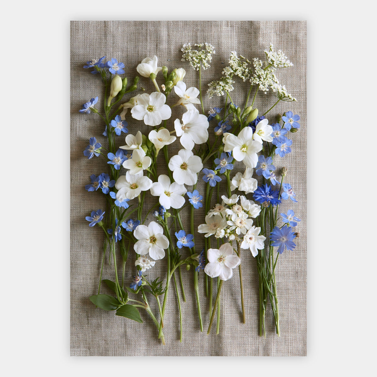 Wildblumen auf Leinen Poster – Freisteller