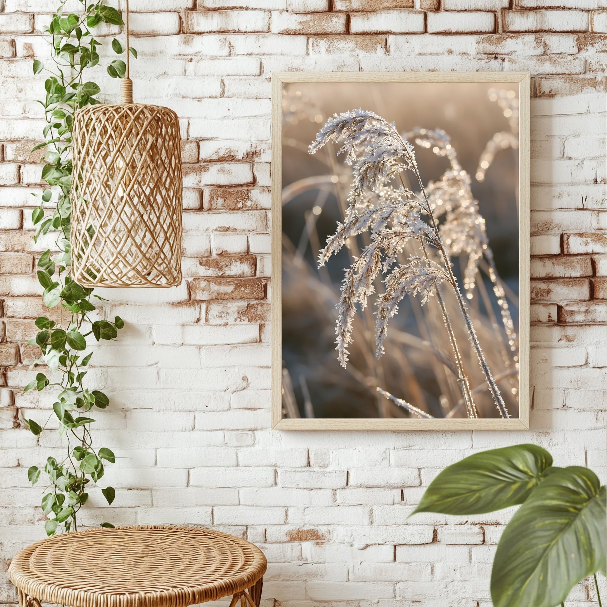 Gefrorene Schilfhalme Poster – Raumansicht 1