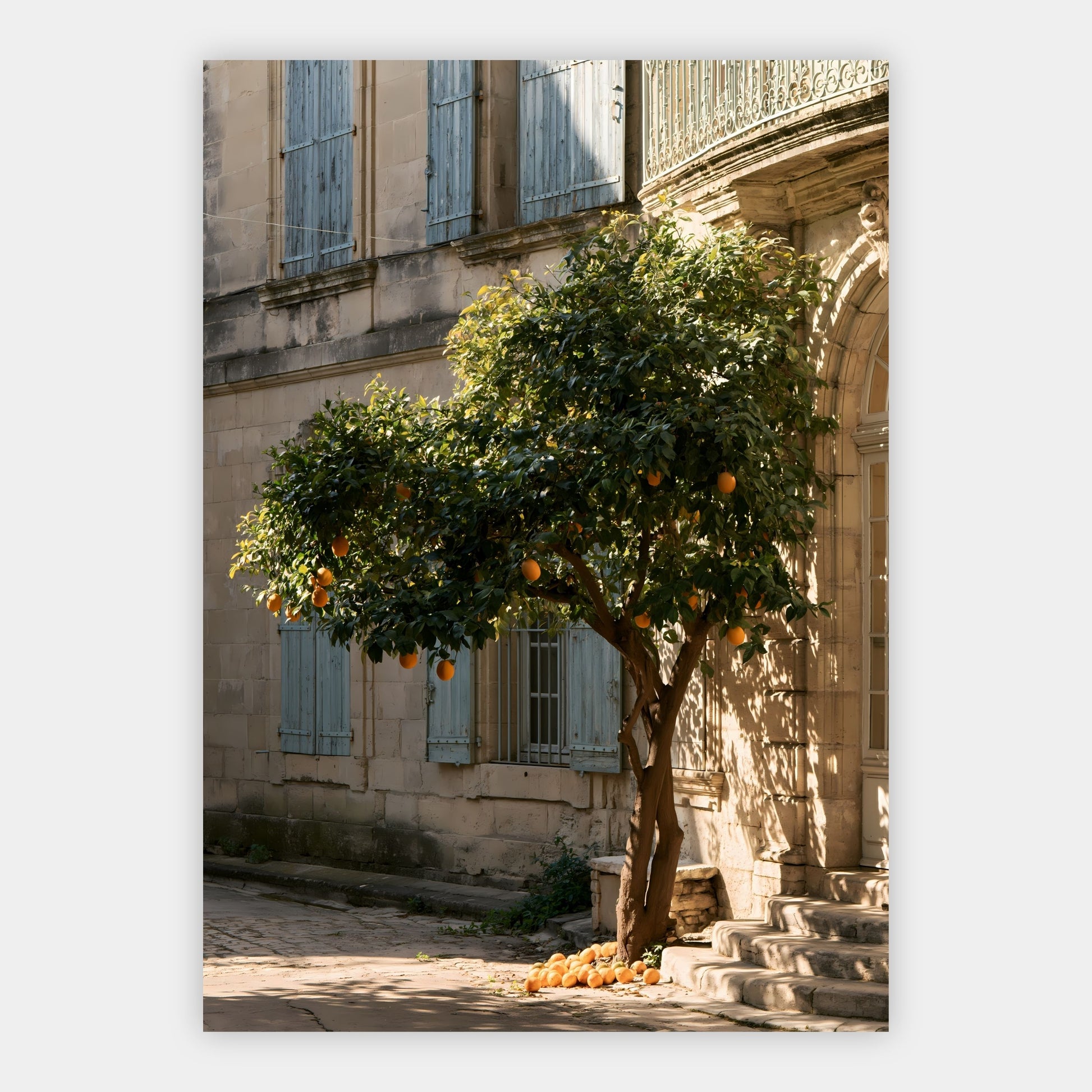 Zitronenbaum im Innenhof Poster – Freisteller