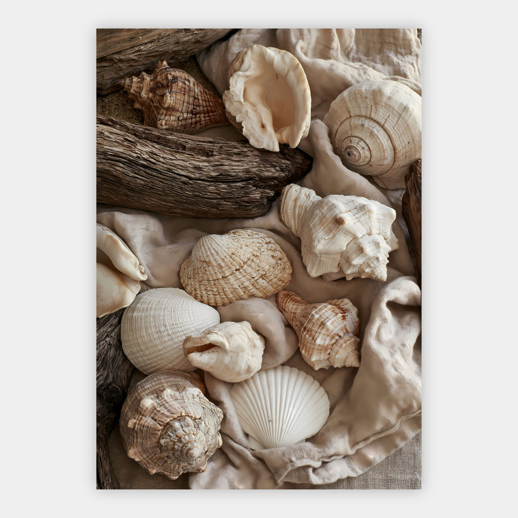 Muscheln und Leinen Poster – Freisteller