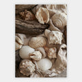 Muscheln und Leinen Poster – Freisteller