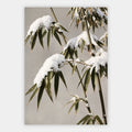 Bambus im Winter Poster – Freisteller