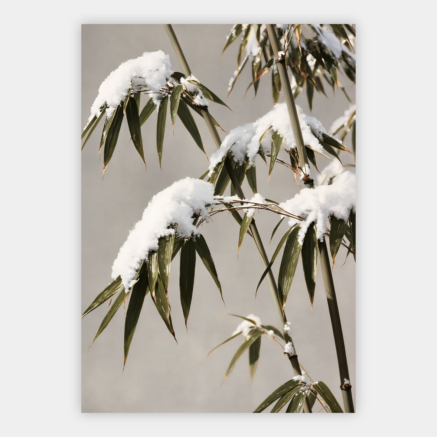 Bambus im Winter Poster – Freisteller