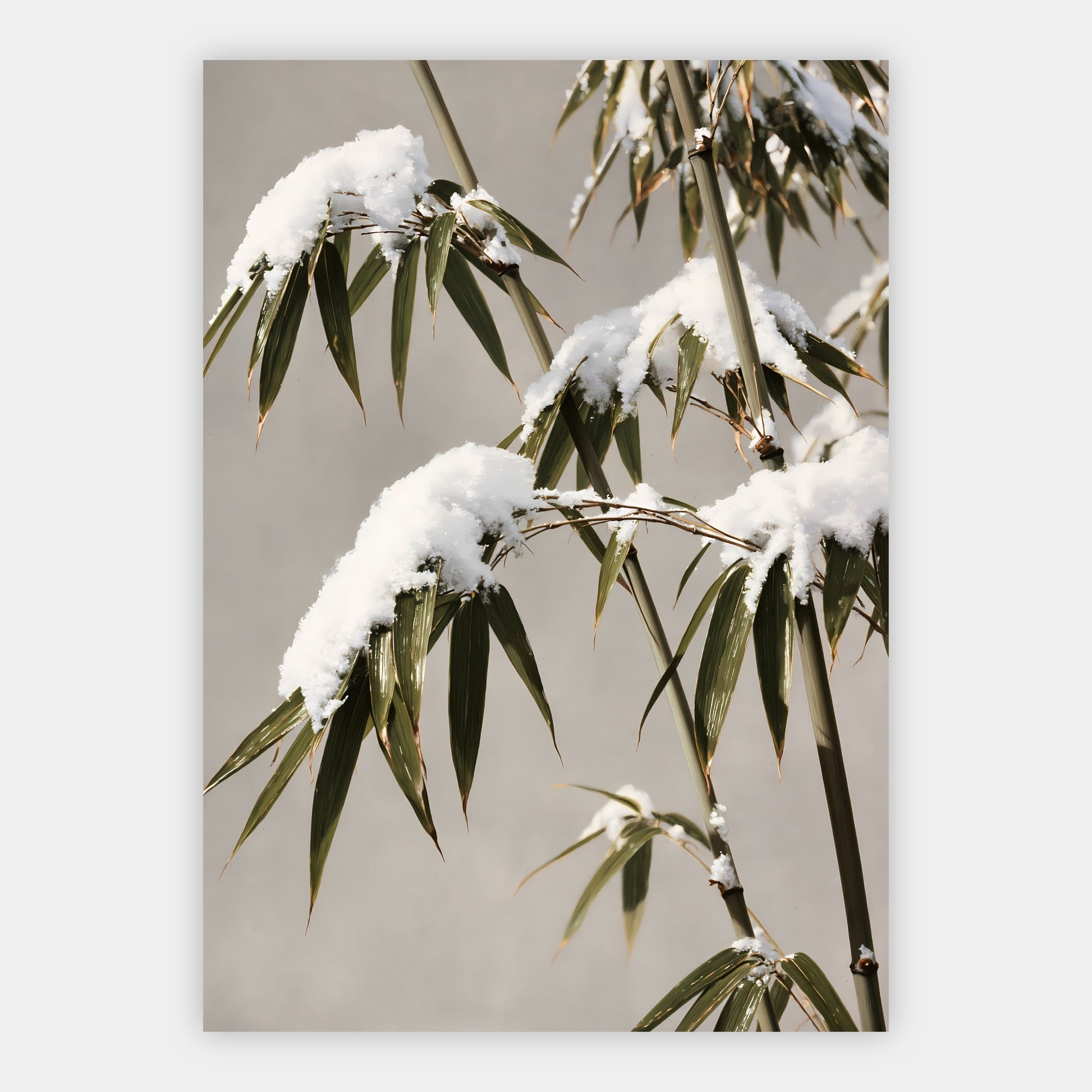 Bambus im Winter Poster – Freisteller