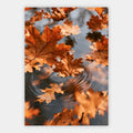 Herbstblätter im Wind Poster – Freisteller