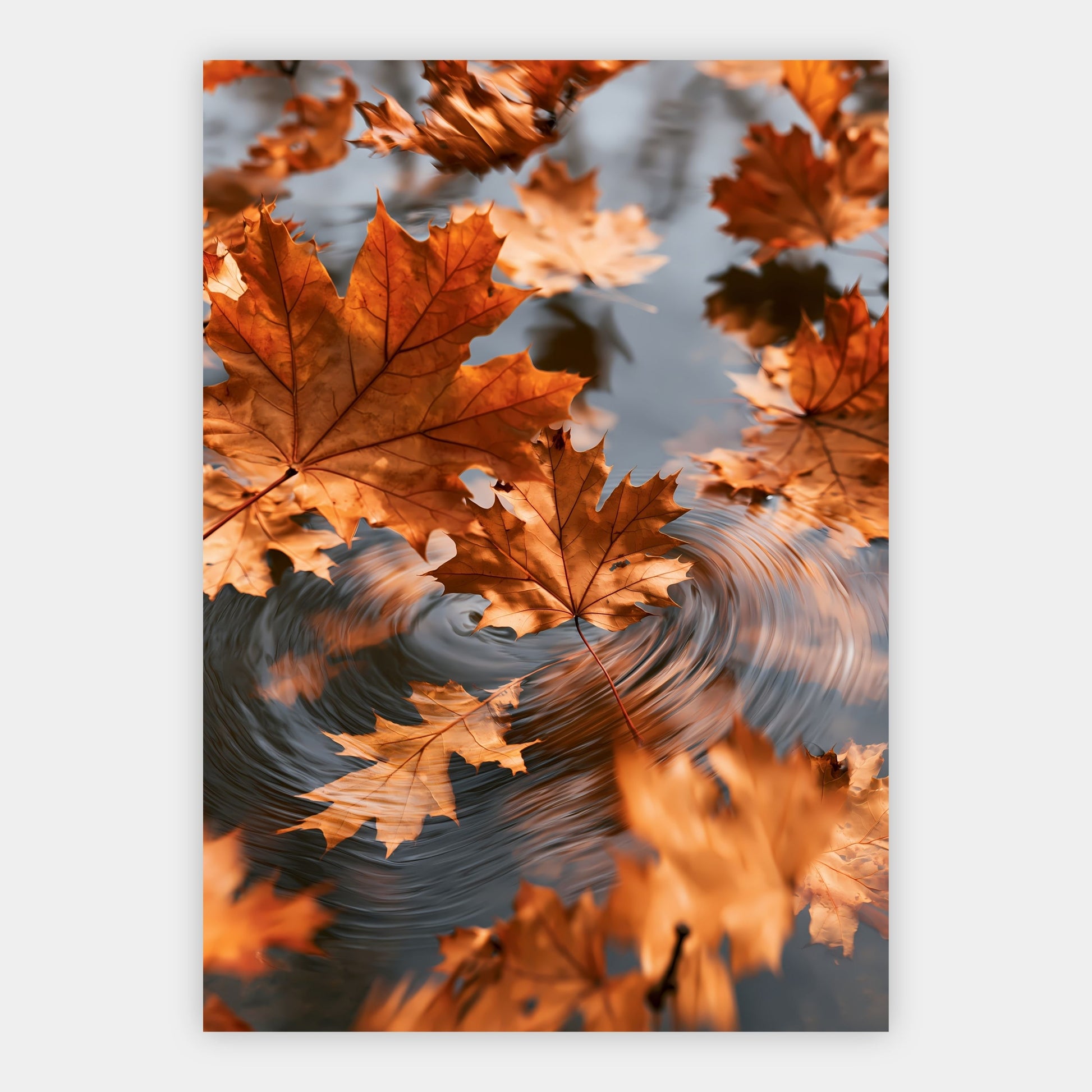 Herbstblätter im Wind Poster – Freisteller
