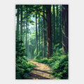 Sonniger Waldpfad Poster – Produktansicht 1