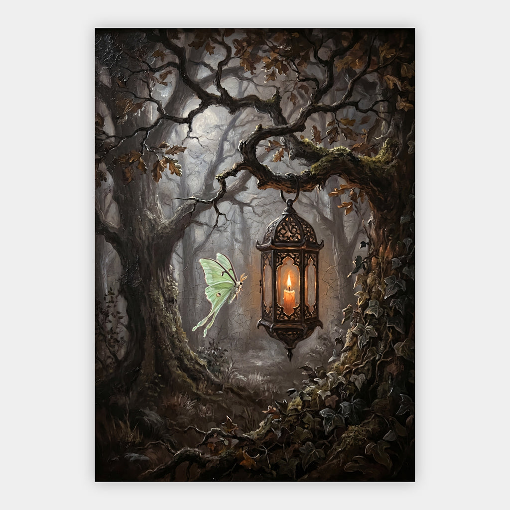 Laterne im verwunschenen Wald Poster – Freisteller