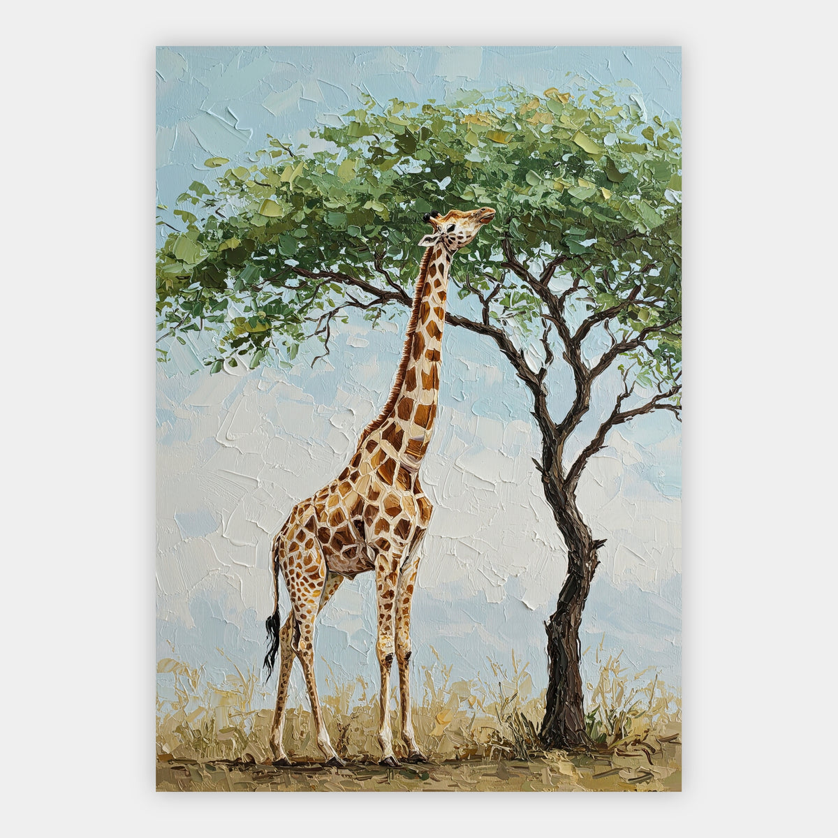 Giraffe unter einer Akazie Poster – Freisteller