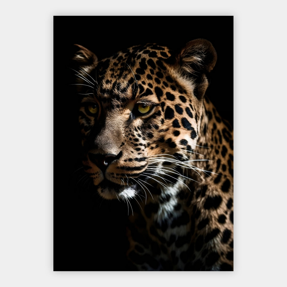 Leopard vor schwarzem Hintergrund Poster – Freisteller