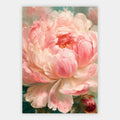 Rosa Pfingstrose Poster – Freisteller