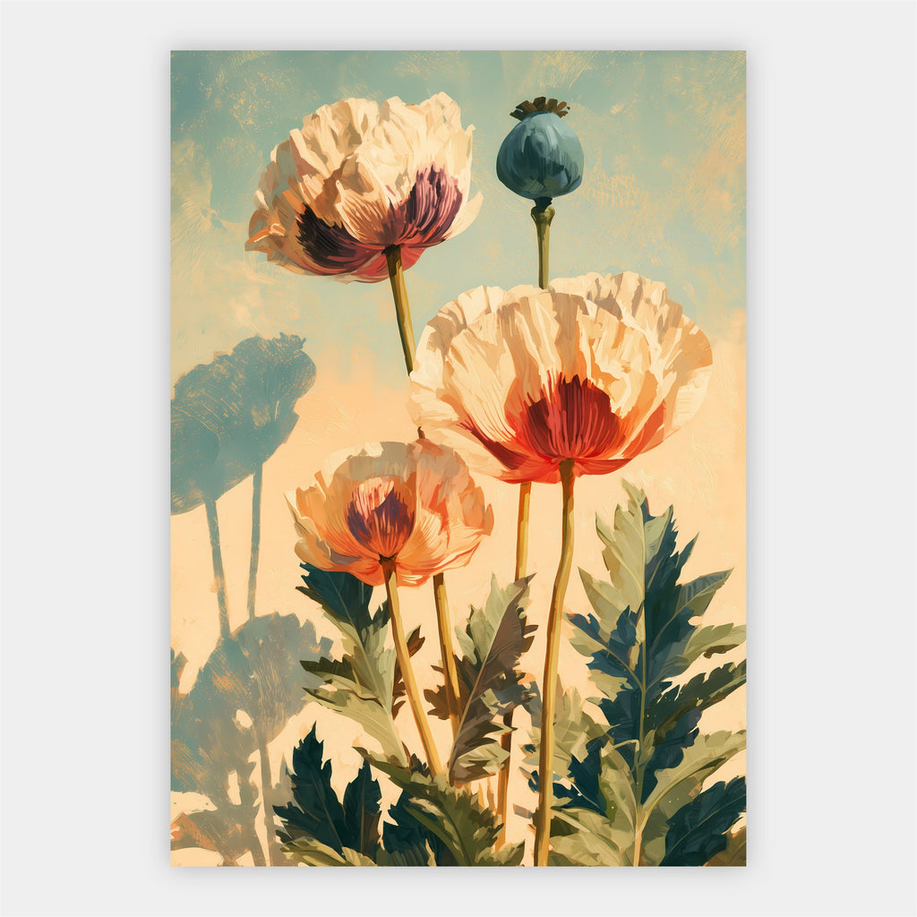 Mohnblumen und Samenkapseln Poster – Freisteller