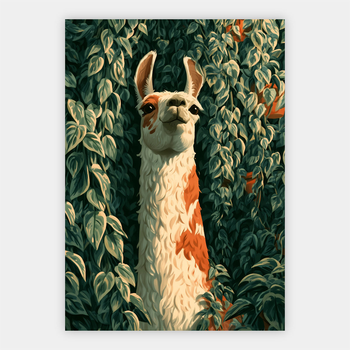 Neugieriges Alpaka Poster – Freisteller