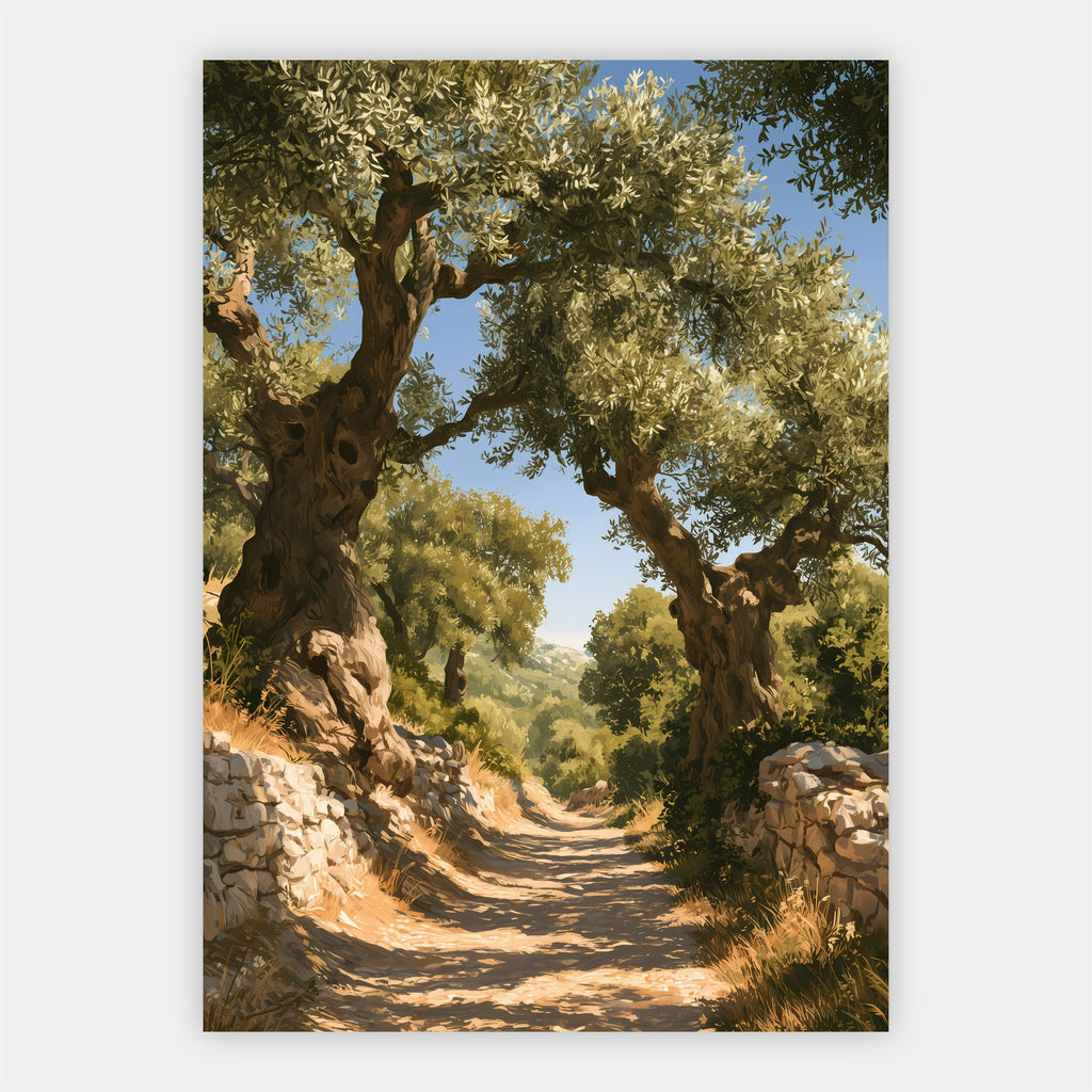 Alter Olivenweg Poster – Freisteller