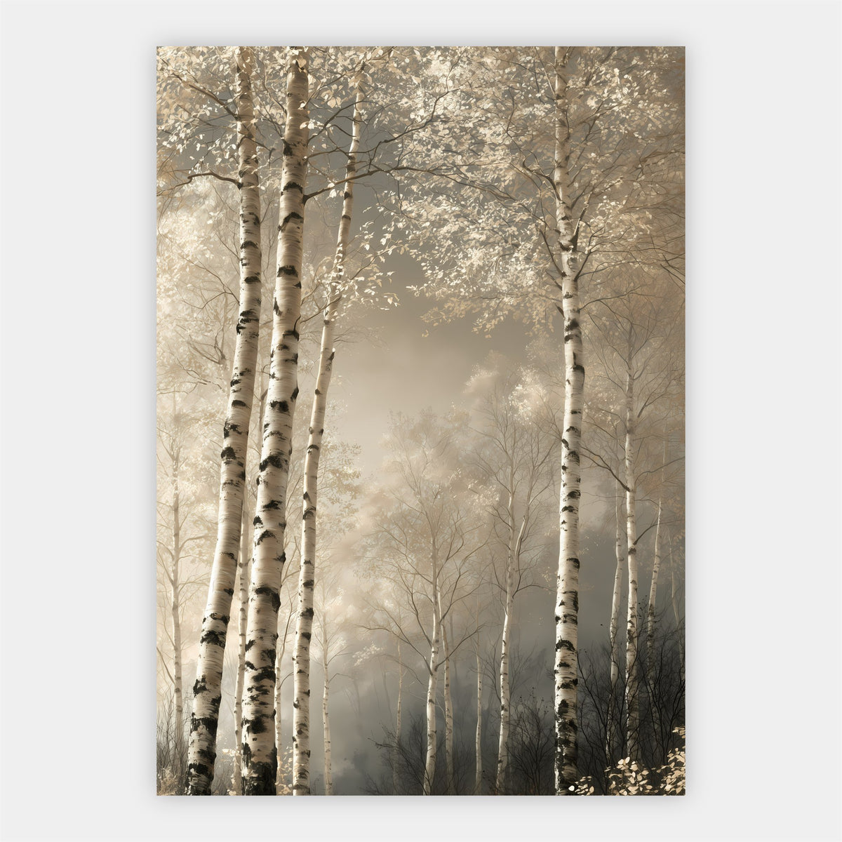 Heller Birkenwald Poster – Freisteller