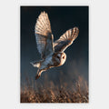 Fliegende Schleiereule Poster – Freisteller