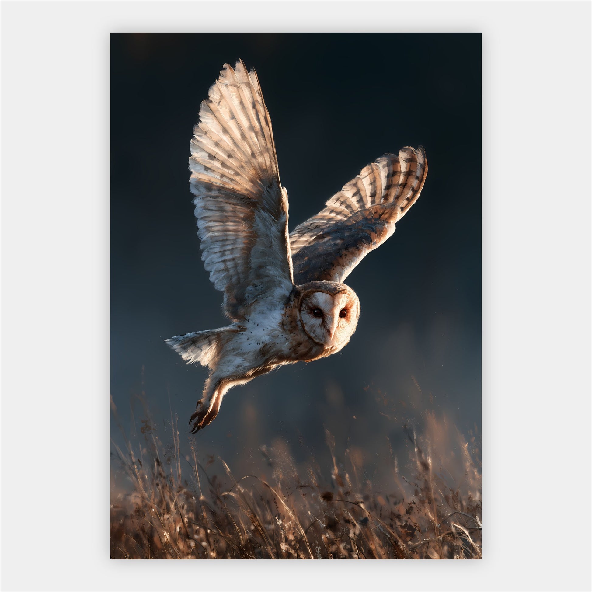 Fliegende Schleiereule Poster – Freisteller
