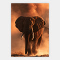 Elefant im Staub Poster – Freisteller