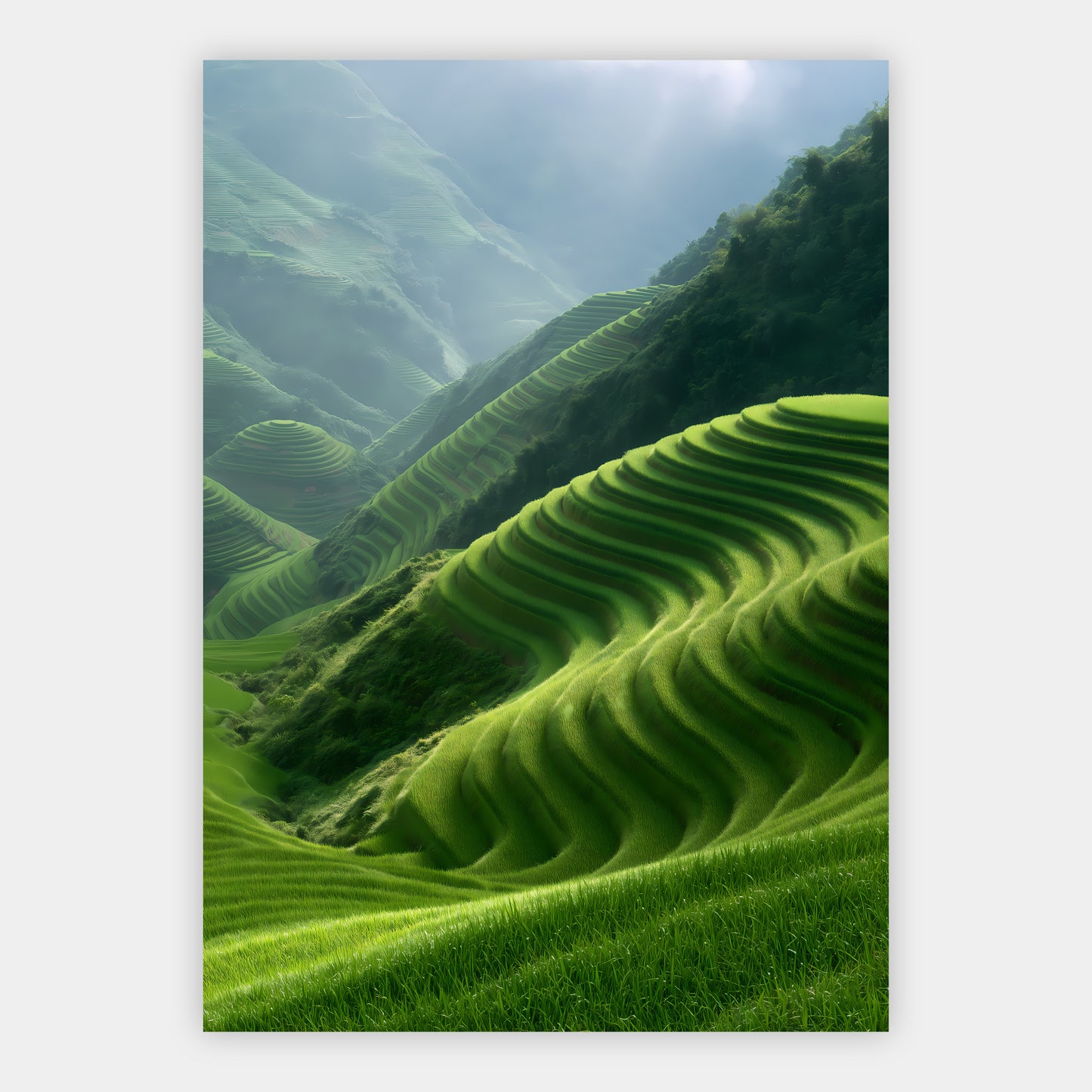 Terrassenhügel Poster – Freisteller