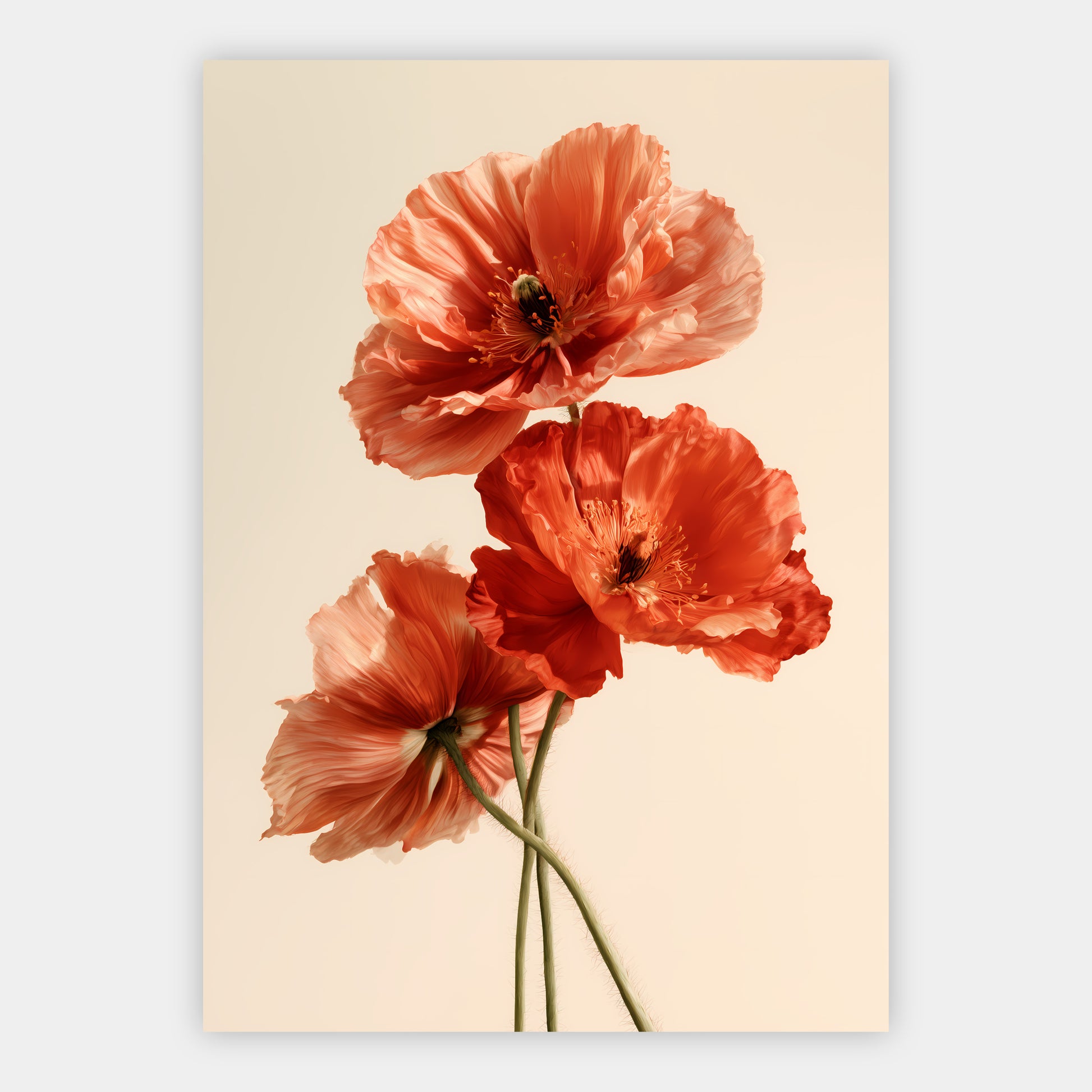Mohnblumen Poster – Freisteller