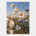 Wildblumenwiese Poster – Freisteller