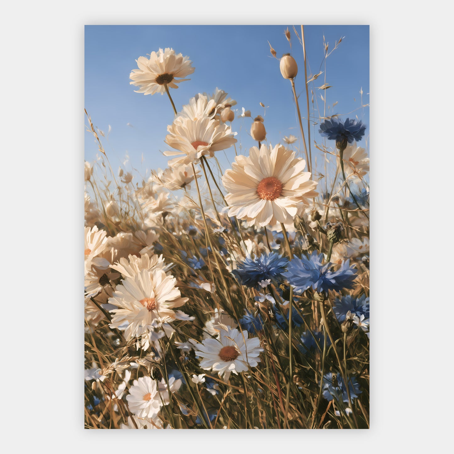 Wildblumenwiese Poster – Freisteller