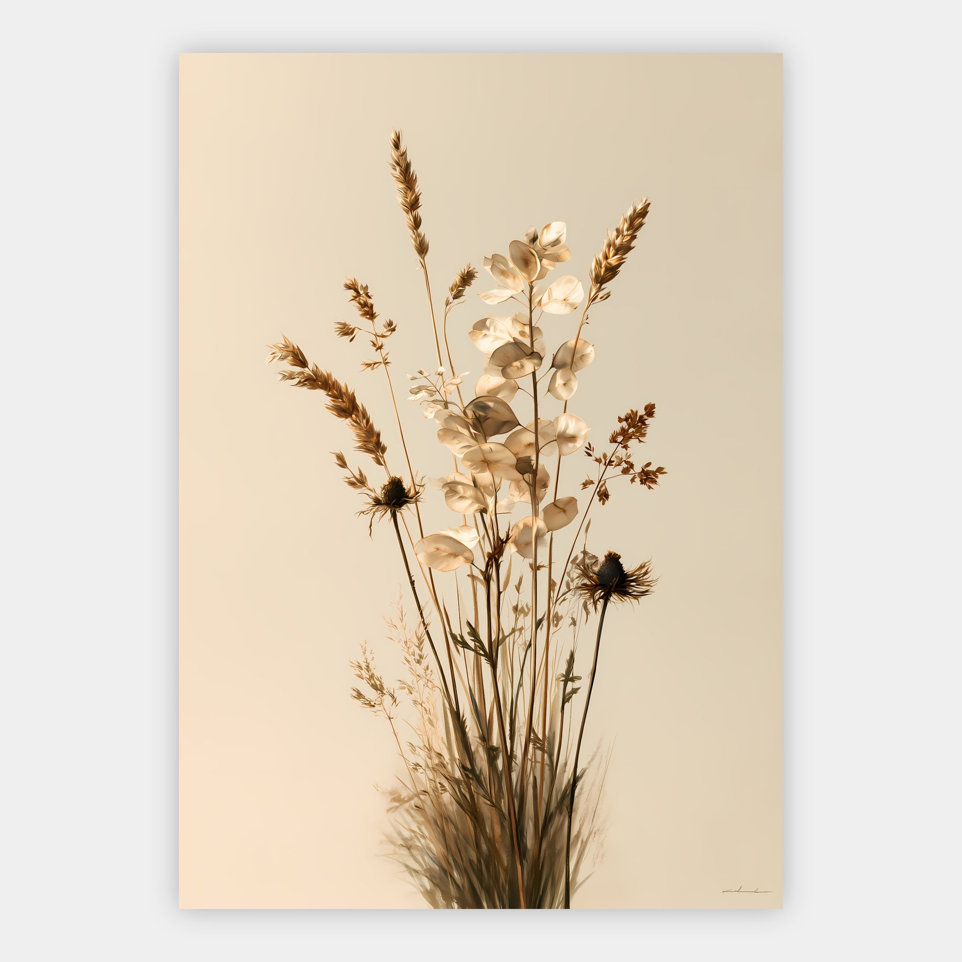 Trockenblumen Poster – Freisteller