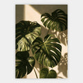 Monstera-Schatten Poster – Freisteller