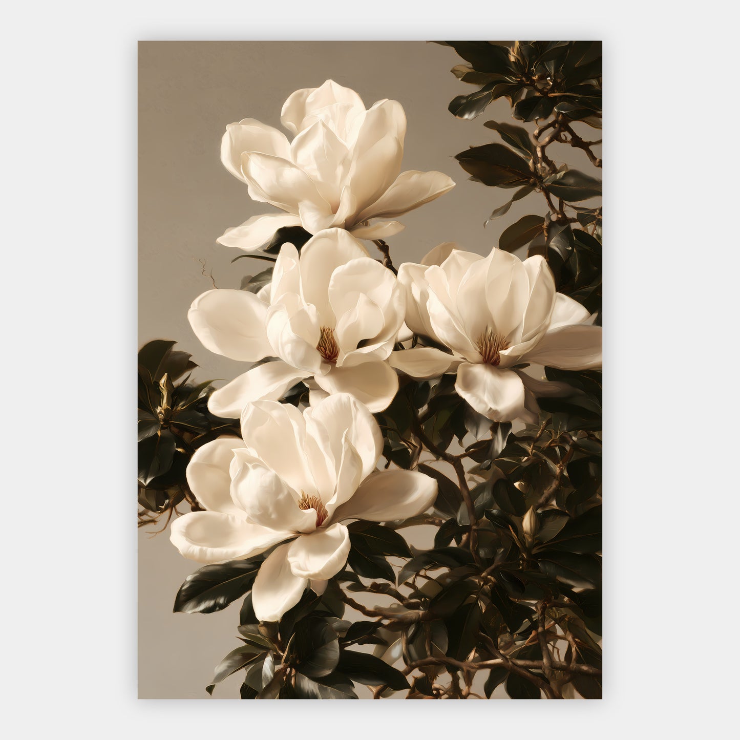 Magnolienblüten Poster – Freisteller