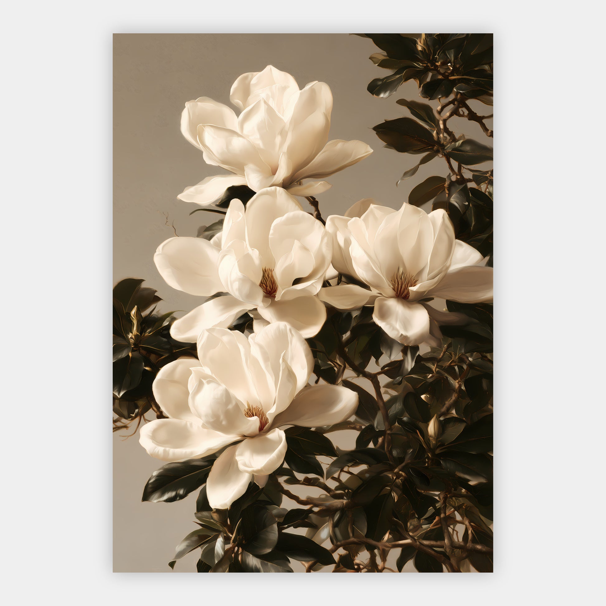 Magnolienblüten Poster – Freisteller