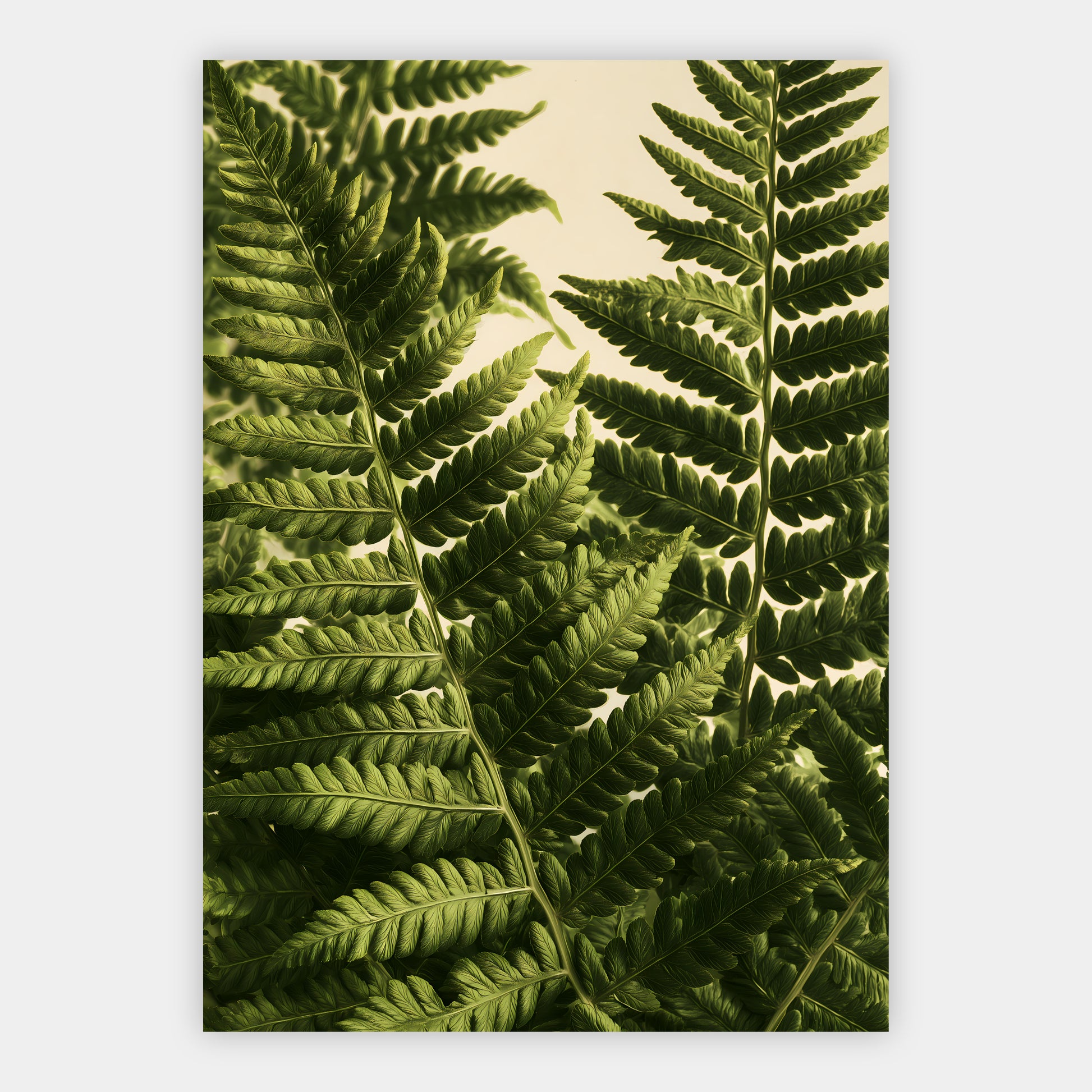 Farnstudie Poster – Freisteller
