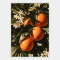 Orangenzweig Poster – Freisteller