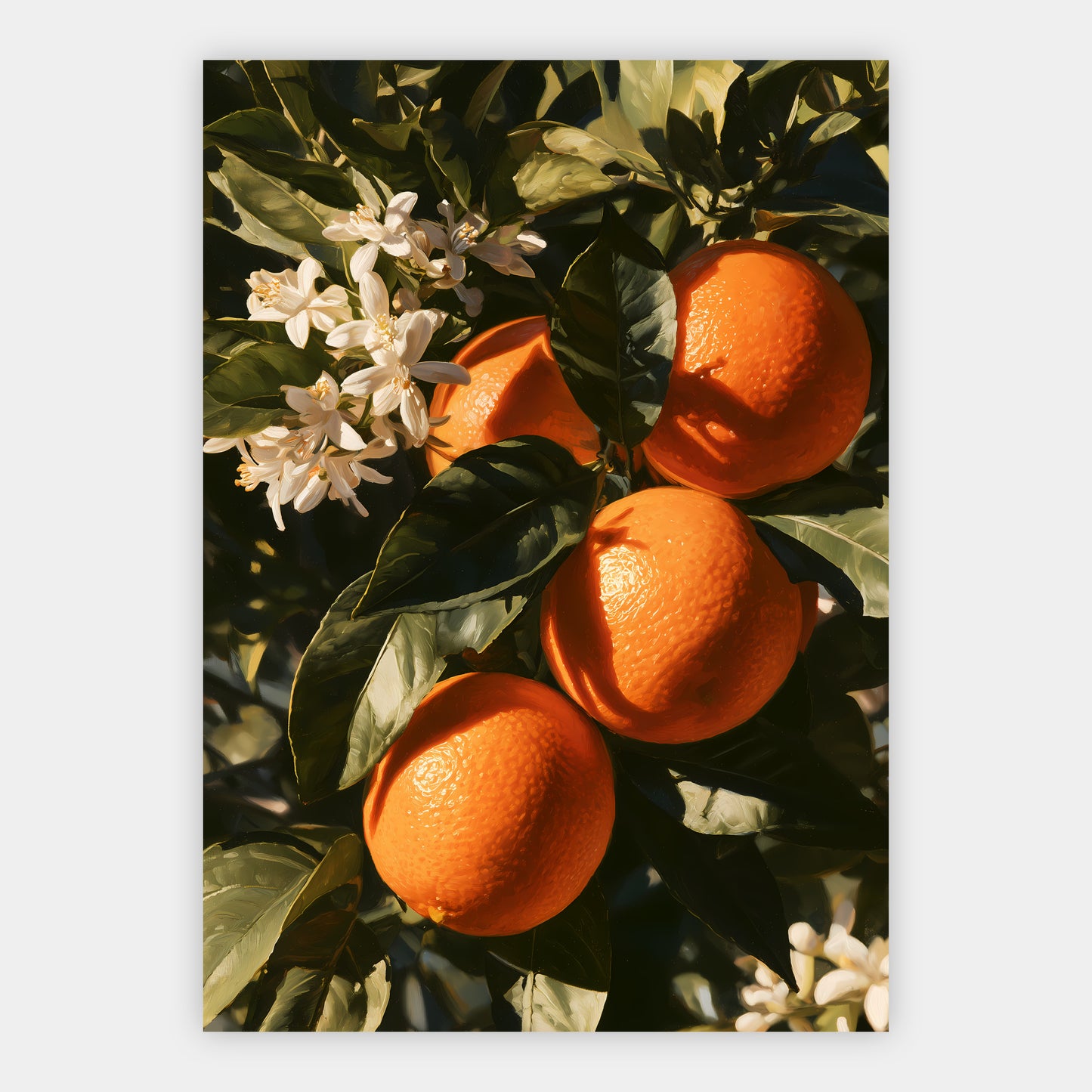Orangenzweig Poster – Freisteller