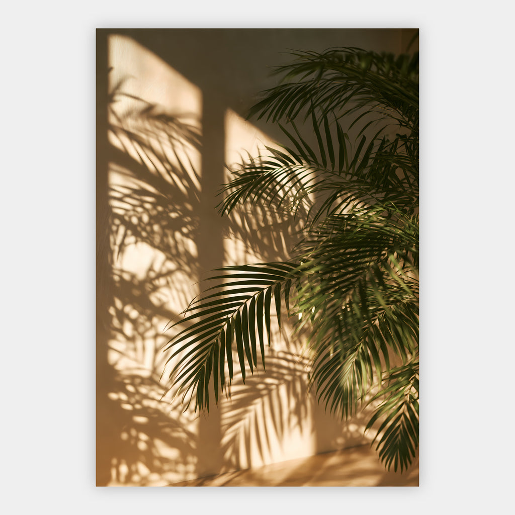 Palmblattschatten Poster – Freisteller