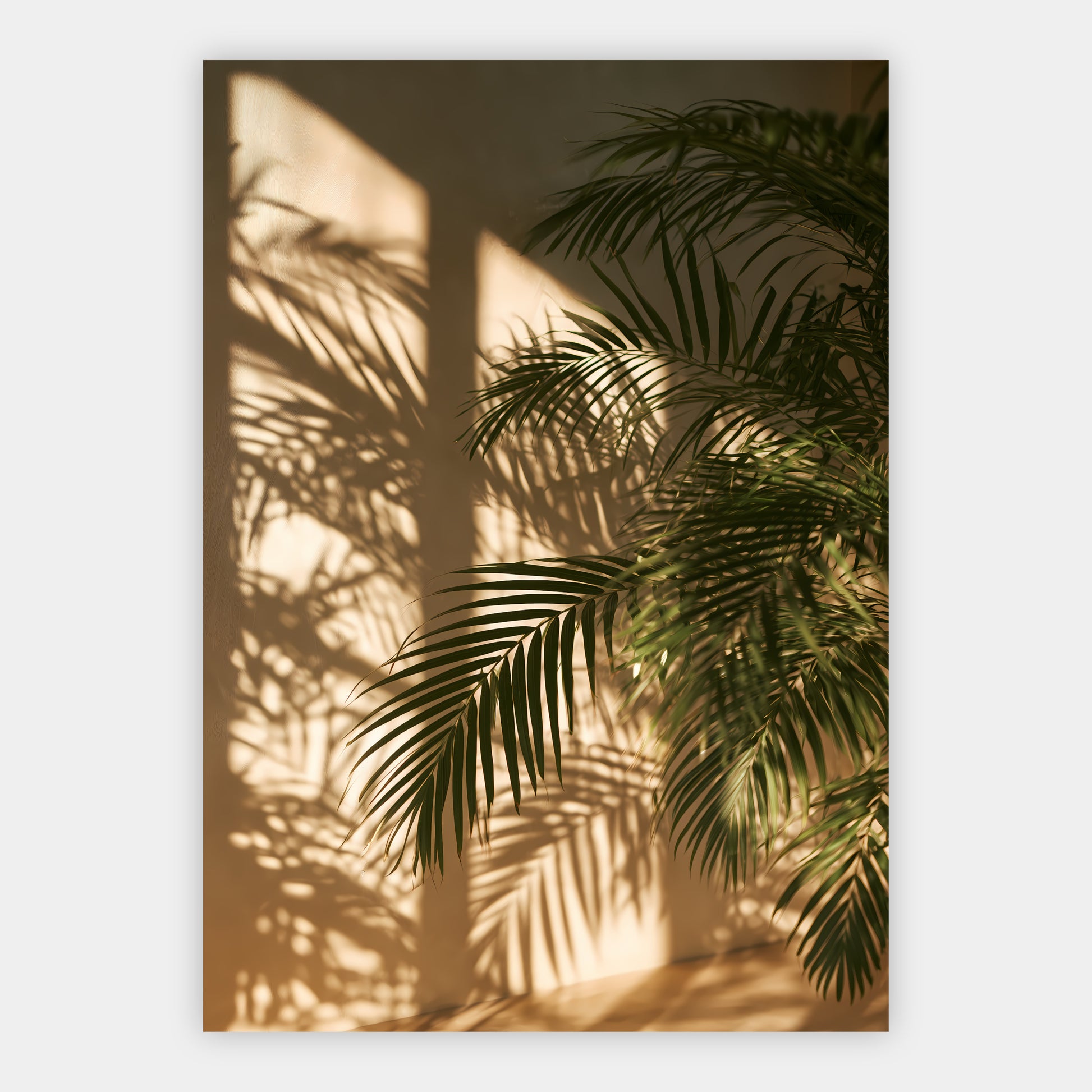 Palmblattschatten Poster – Freisteller