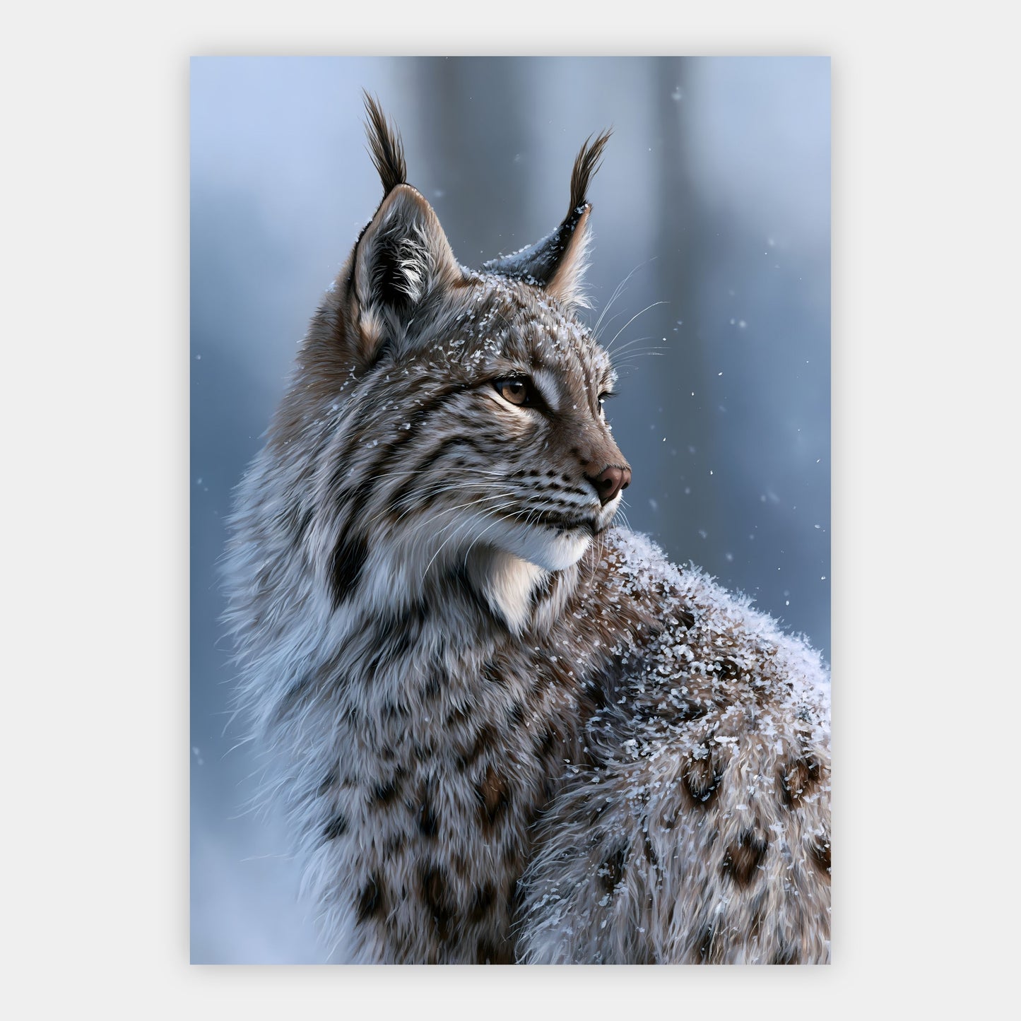 Luchs im Schneelicht Poster – Freisteller