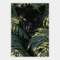Schwarzer Panther im Farn Poster – Freisteller