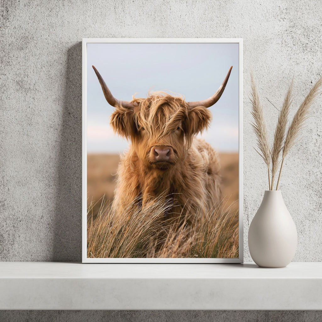 Highland-Rind im Wind Poster – Raumansicht 2